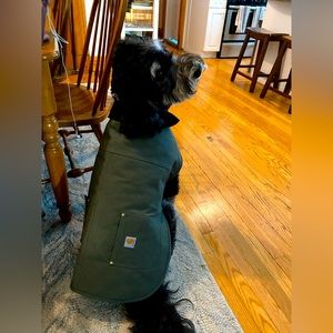 Carhartt Dog Chore jacket in army green, L